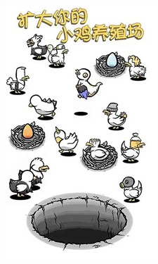 小鸡真奇怪最新版
