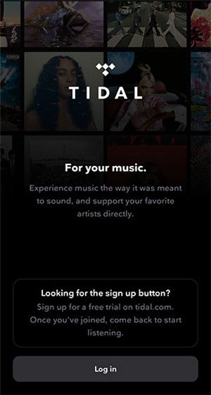 Tidal中文版