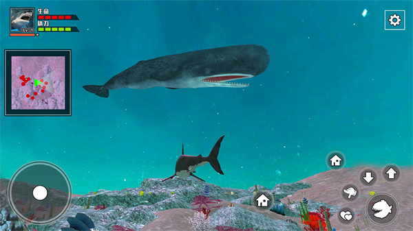 饥饿鲨鱼求生免费版