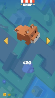 块状宠物最新版