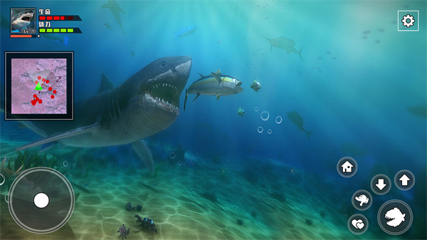 饥饿鲨鱼求生免费版