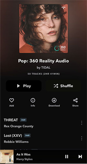 Tidal中文版
