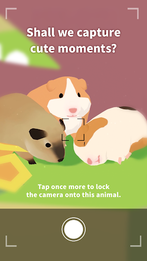 森林小岛最新版