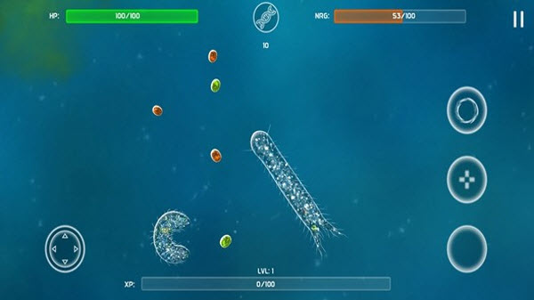 细胞起源最新版