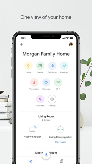 google home app