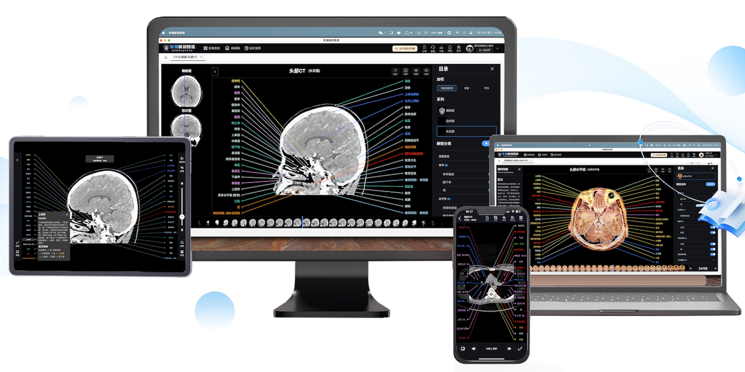 影像解剖图谱64位
