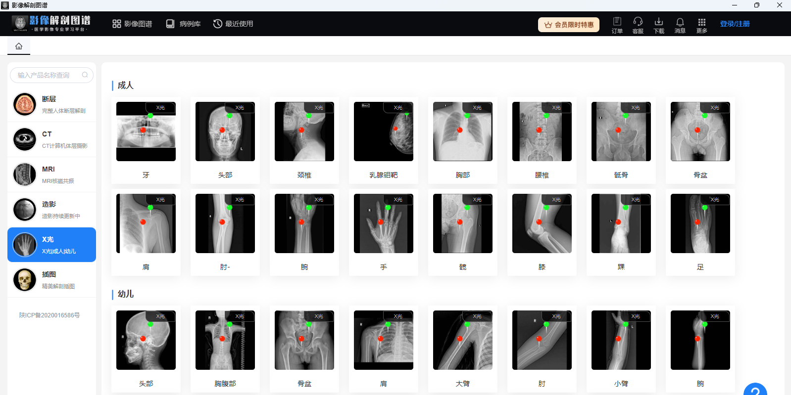 影像解剖图谱32位