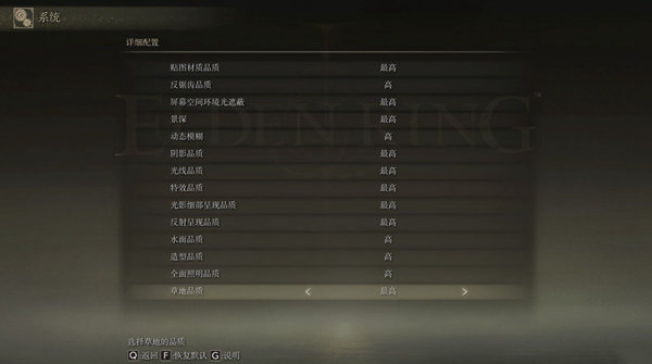 艾尔登法环dx11补丁