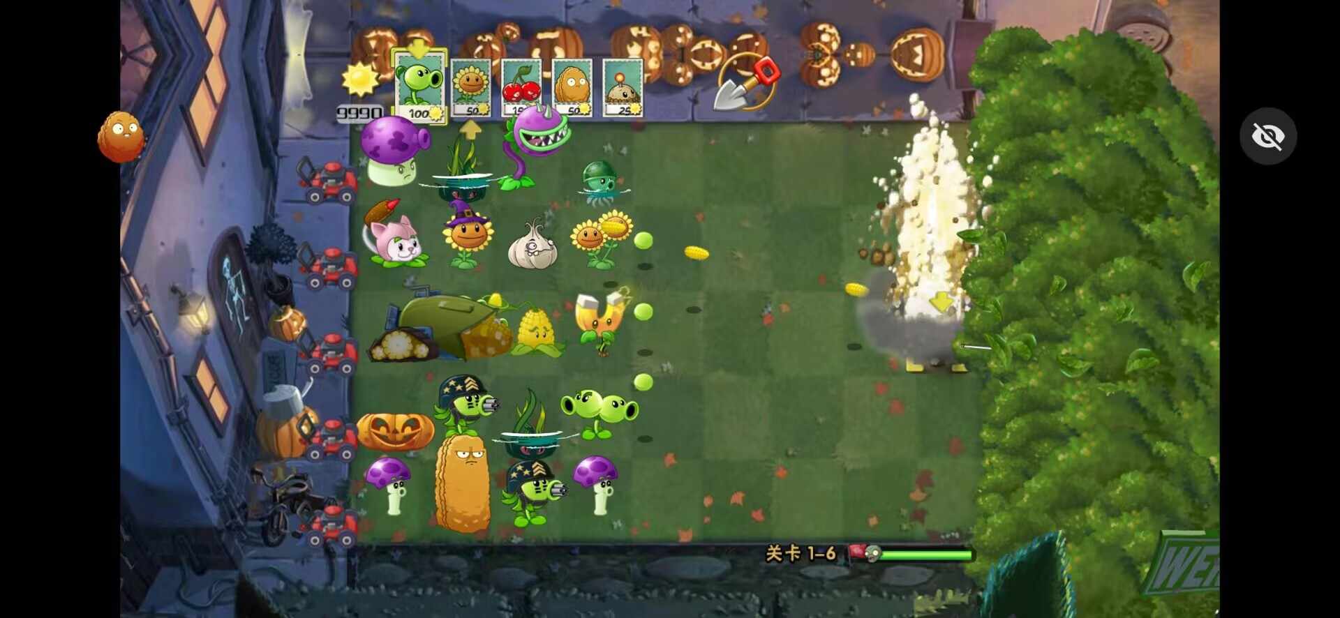 植物大战僵尸TV末日草坪