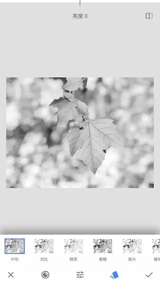 Snapseed使用方法3