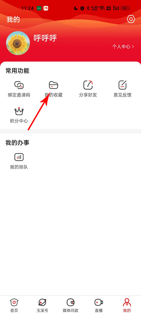 玉溪+
