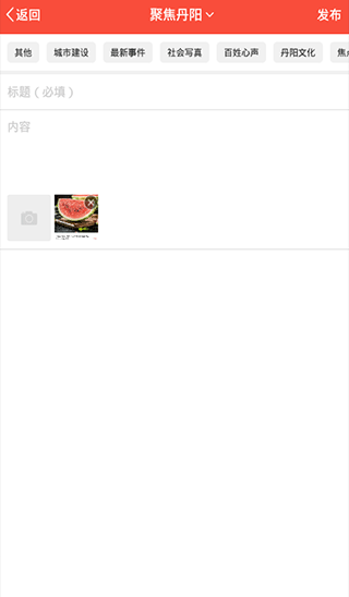 丹阳翼网