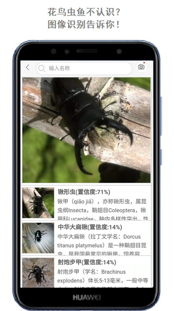 万物志