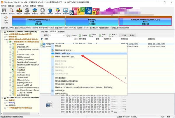 DiskGenius专业版