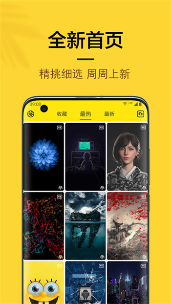 橙子4D动态壁纸app