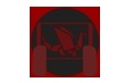 RyujiNX段首LOGO