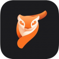 pixaloop专业版