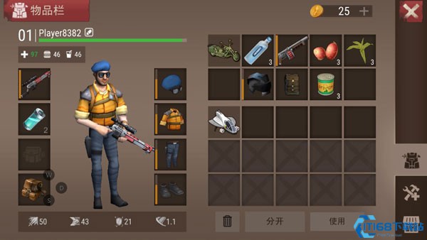 沙漠风暴末日生存中文版