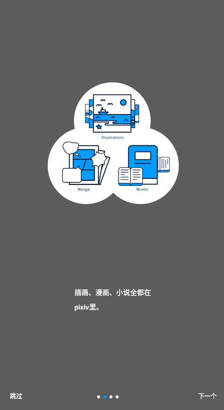 p站pixiv会员版最新版