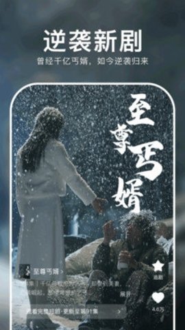 番茄短剧