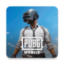 pubg国际服手游电脑版