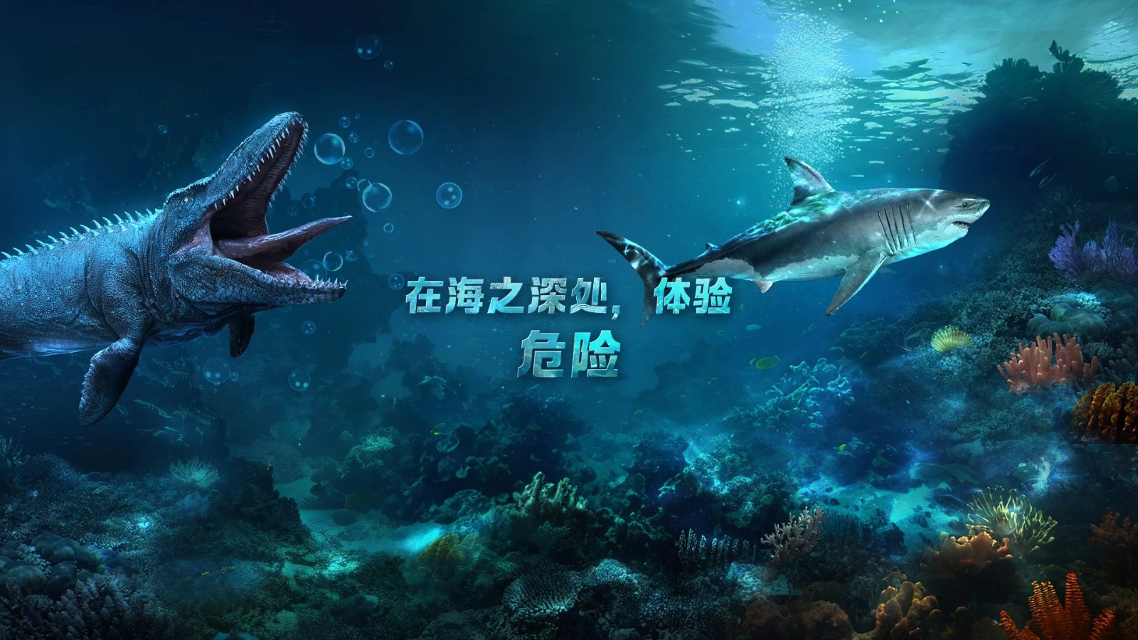 小小水世界