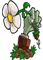 植物大战僵尸转基因版电脑版