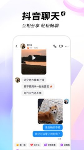 抖抈