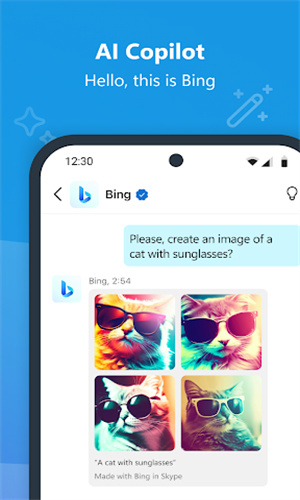 skype官网手机版