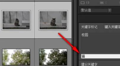 lightroom
