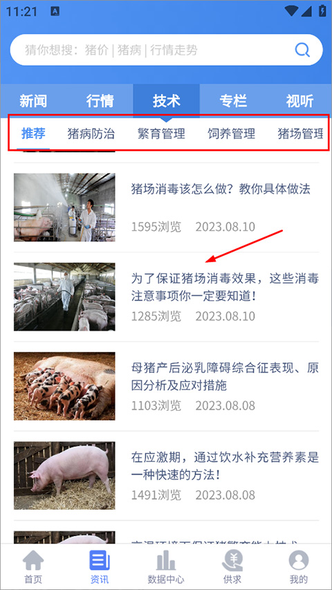 养猪宝