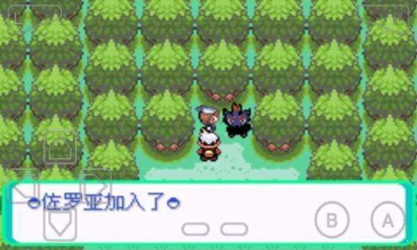口袋妖怪漆黑的魅影金手指版