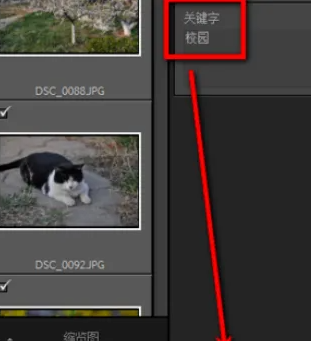 lightroom