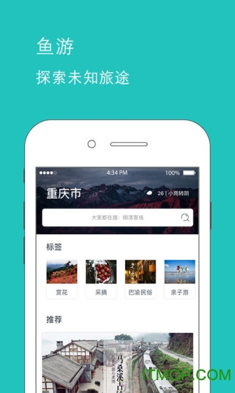 鱼游平台