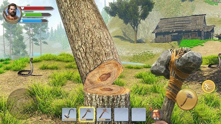 荒岛余生3D最新版