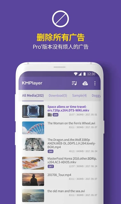 KMPlayer 4k视频播放器