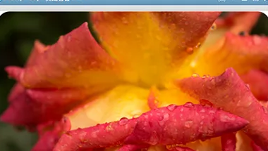 lightroom