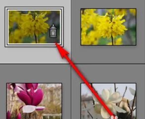 lightroom