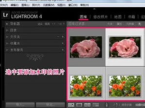 lightroom