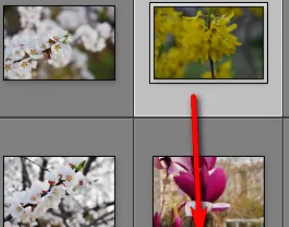 lightroom