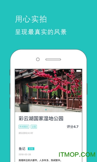 鱼游平台