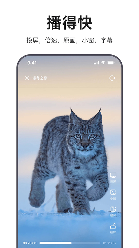 迅雷浏览器App