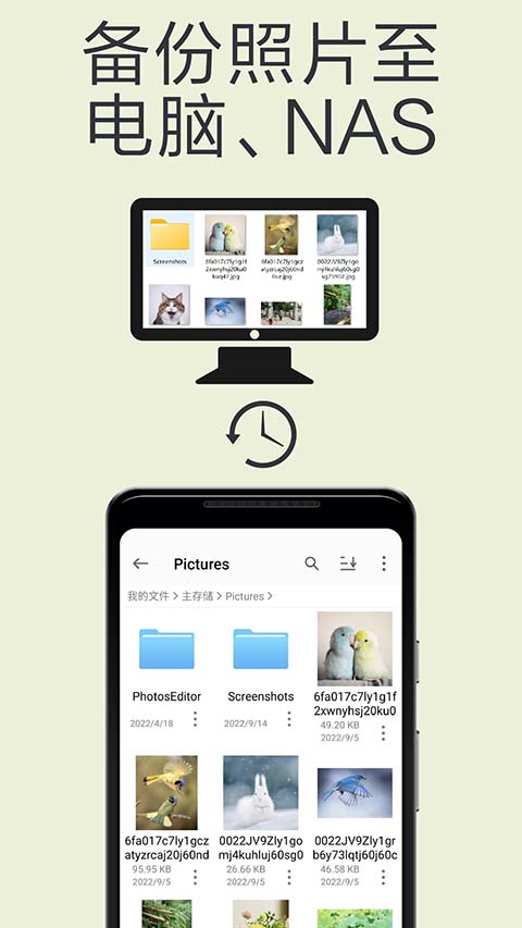 猫头鹰文件app