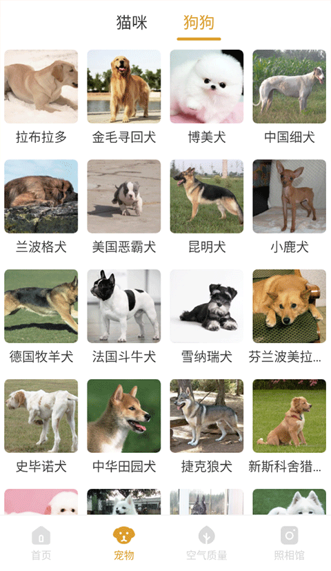 韶光相机app