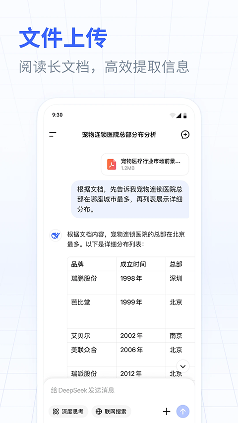 DeepSeek App