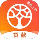 榕树贷款app