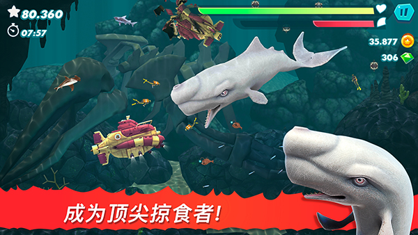 饥饿鲨进化2026最新版