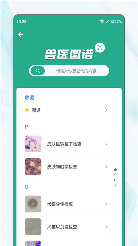 宠壹堂App