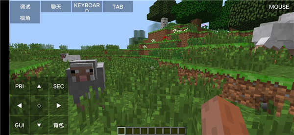 Minecraft Ja
