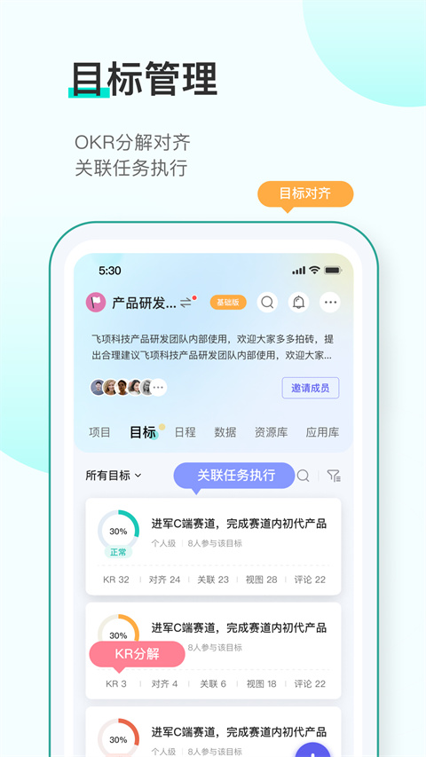 飞项app